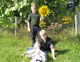 Boys with sunflowers