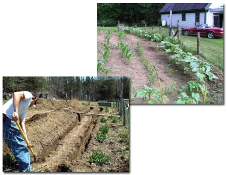 Garden images - Digging ditches in the garden
         for radiant heat tubes, an early summer garden