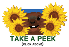 Click Here to see more info